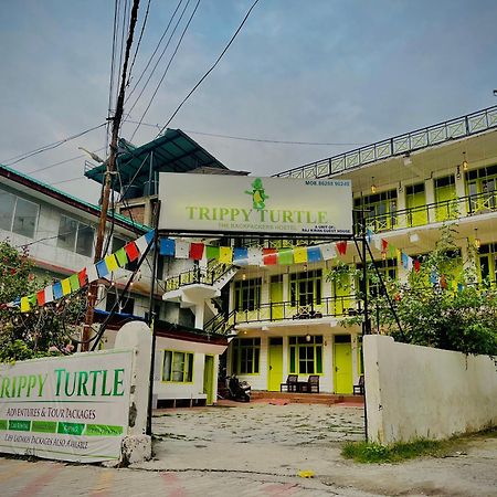 Trippy Turtle Hostel Манали Экстерьер фото